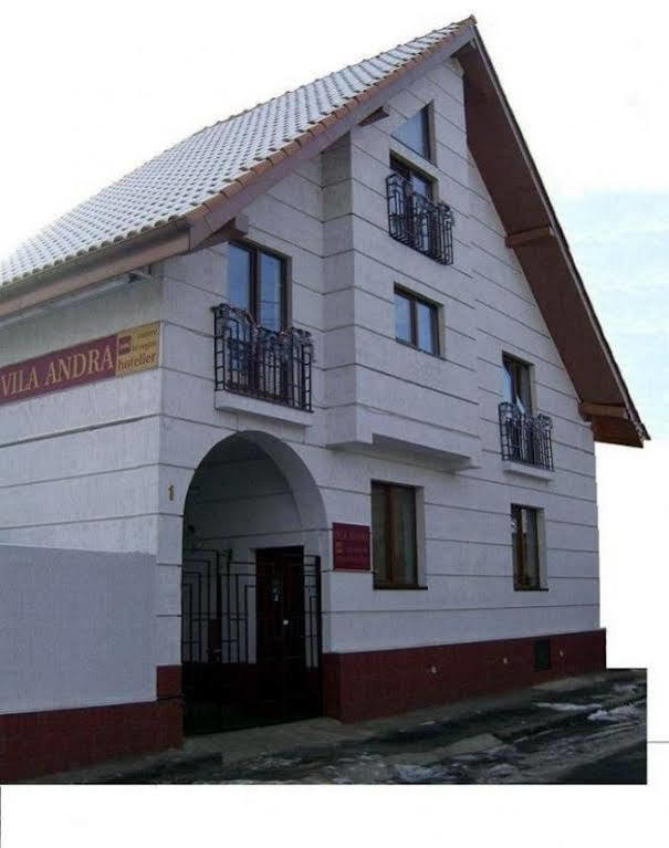 Pension Vila Andra Sibiu Exterior photo